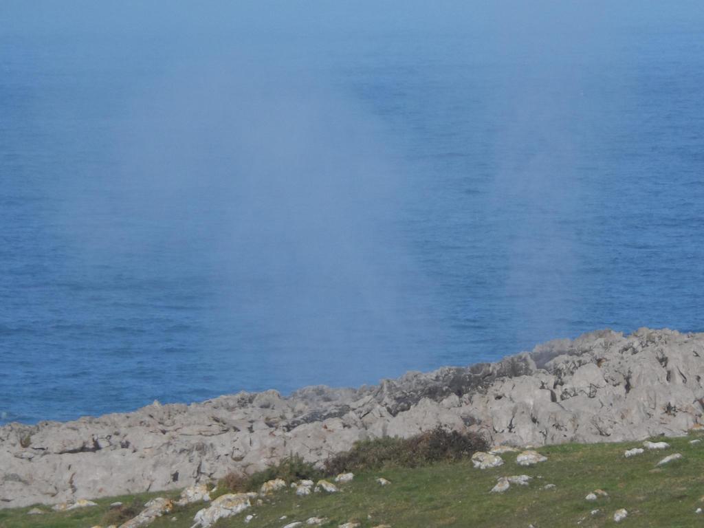 La Quintaesencia Otel La Pereda de Llanes Dış mekan fotoğraf